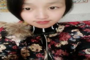 联想Y70的主题壁纸多不多